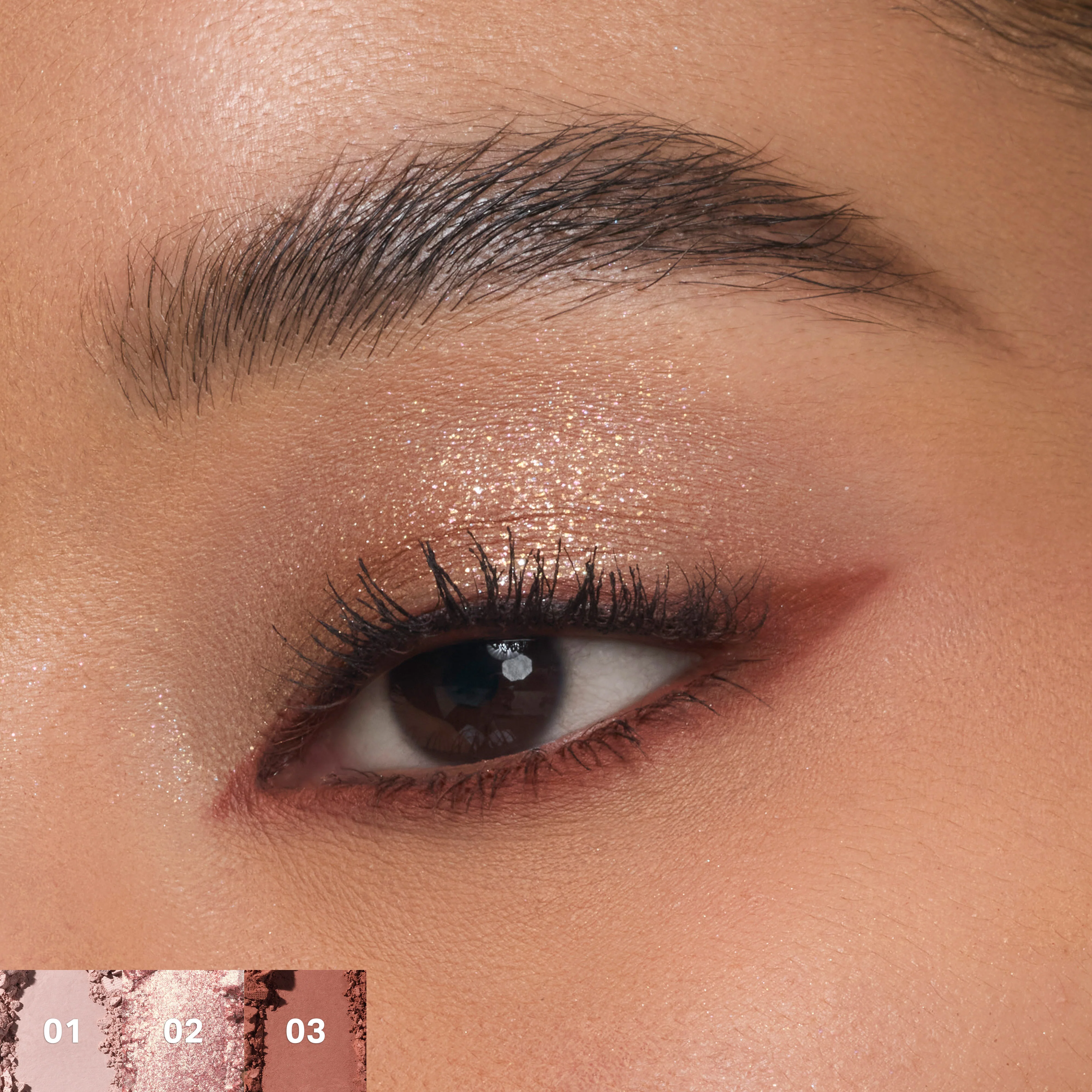 ChromaPlus 6-Pan Eyeshadow Palette - Image 24